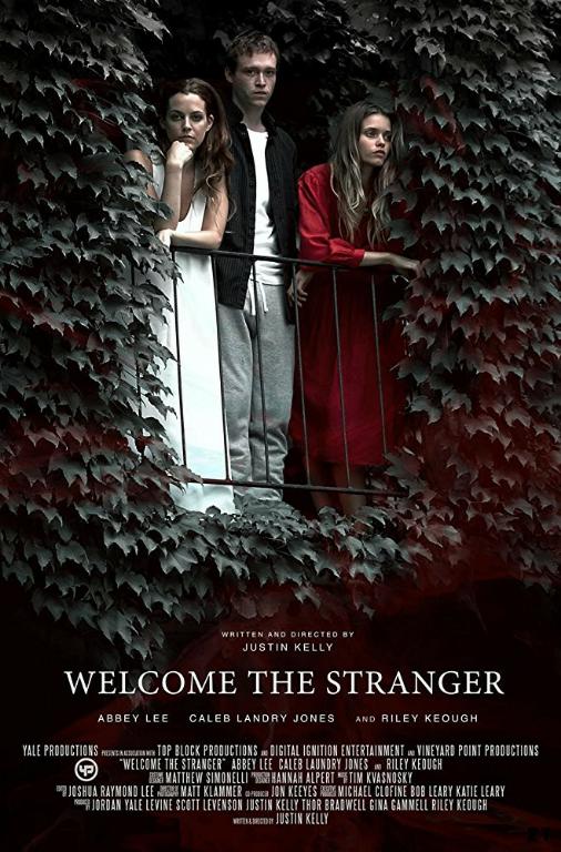 Welcome the Stranger FRENCH HDRiP 2018